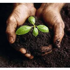 Biological organic manure 
